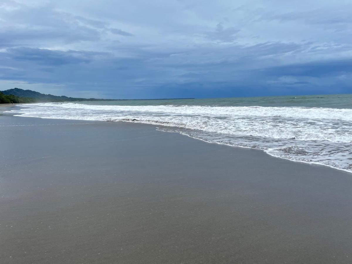 Perla Negra Beachfront Puerto Viejo de Talamanca Buitenkant foto