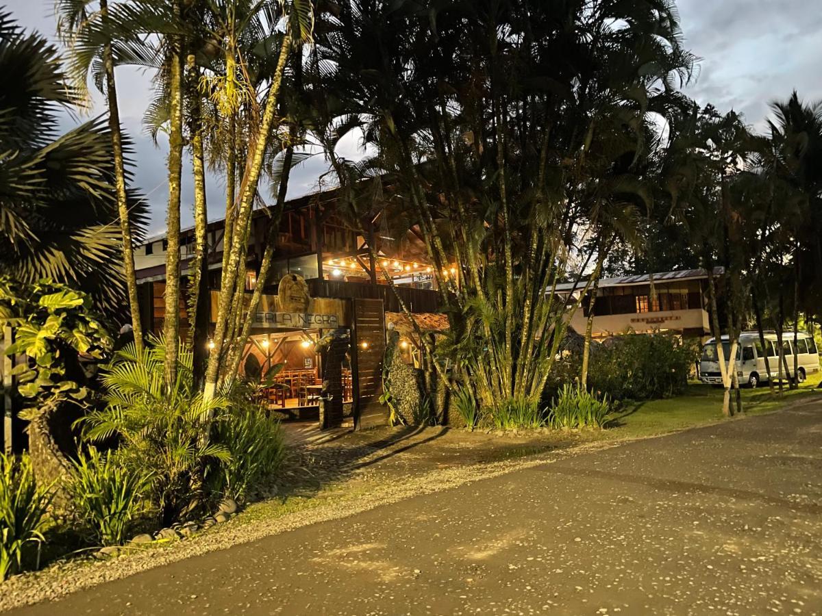Perla Negra Beachfront Puerto Viejo de Talamanca Buitenkant foto