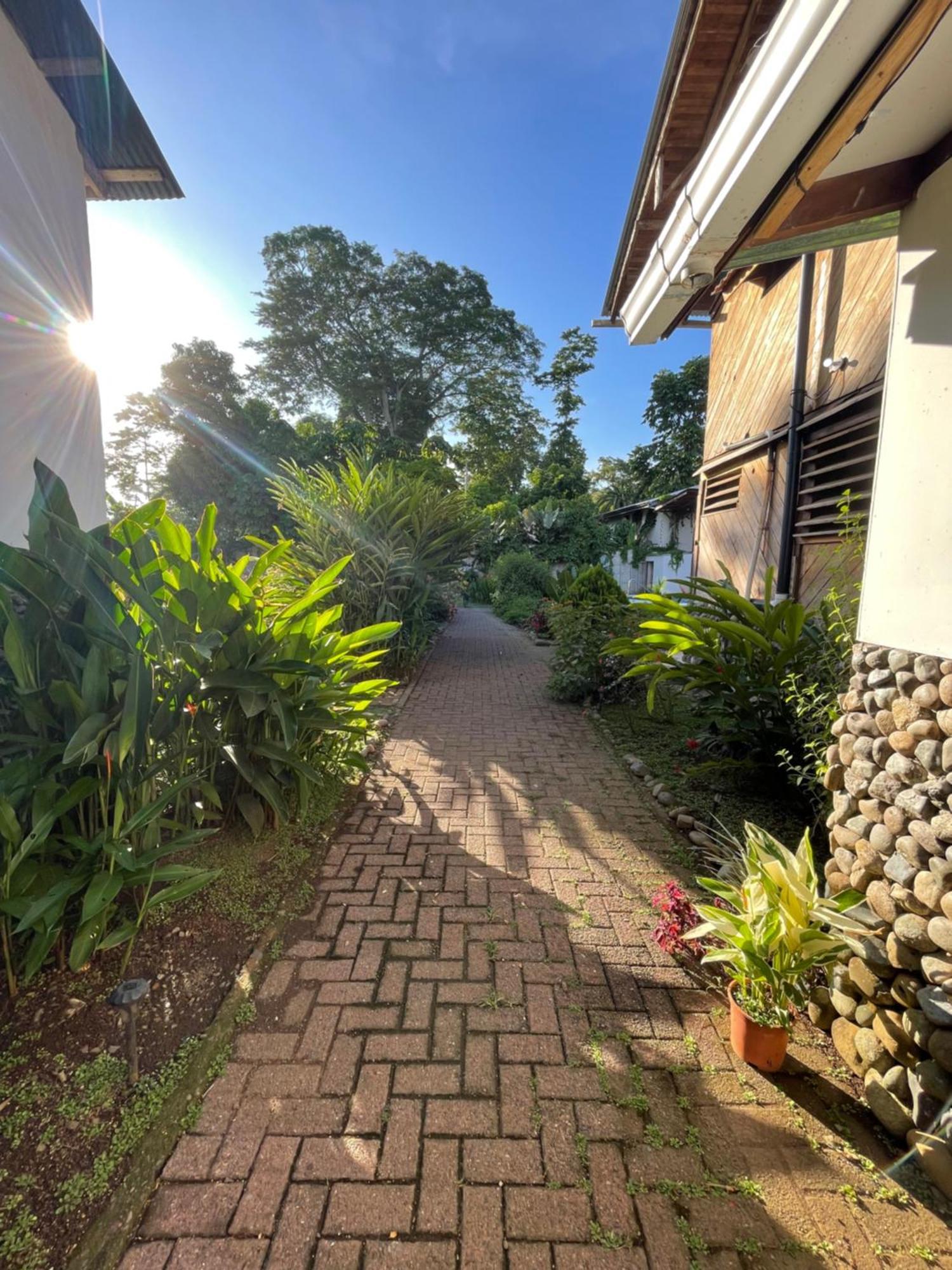 Perla Negra Beachfront Puerto Viejo de Talamanca Buitenkant foto
