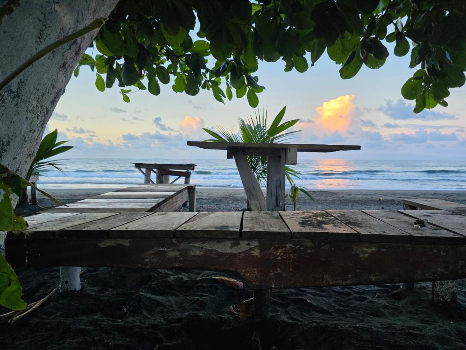 Perla Negra Beachfront Puerto Viejo de Talamanca Buitenkant foto